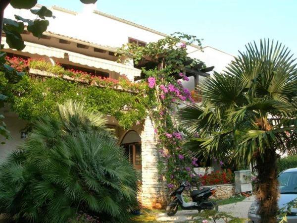 Appartamento House *