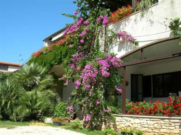 House *