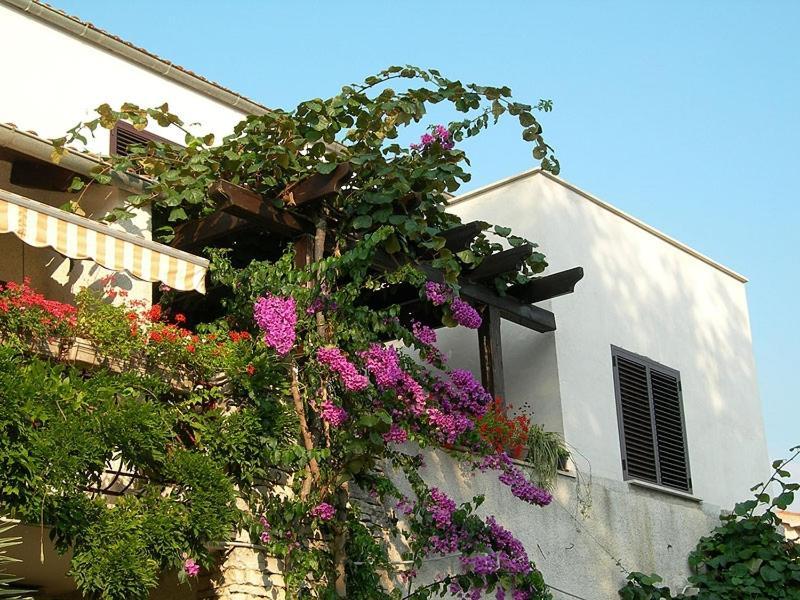 House Rovigno